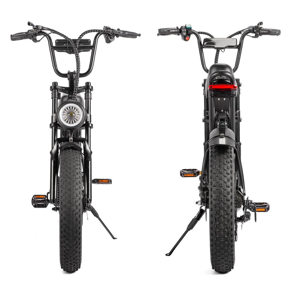 Superfun R2 750W  Electric Bike for Adults 20 x 4.0 inch Fat Tire  Full Suspension 